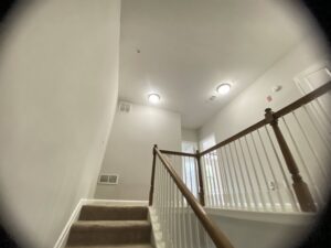 IMG_3742